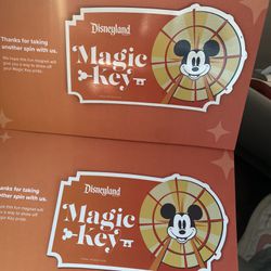 Disney magnet 