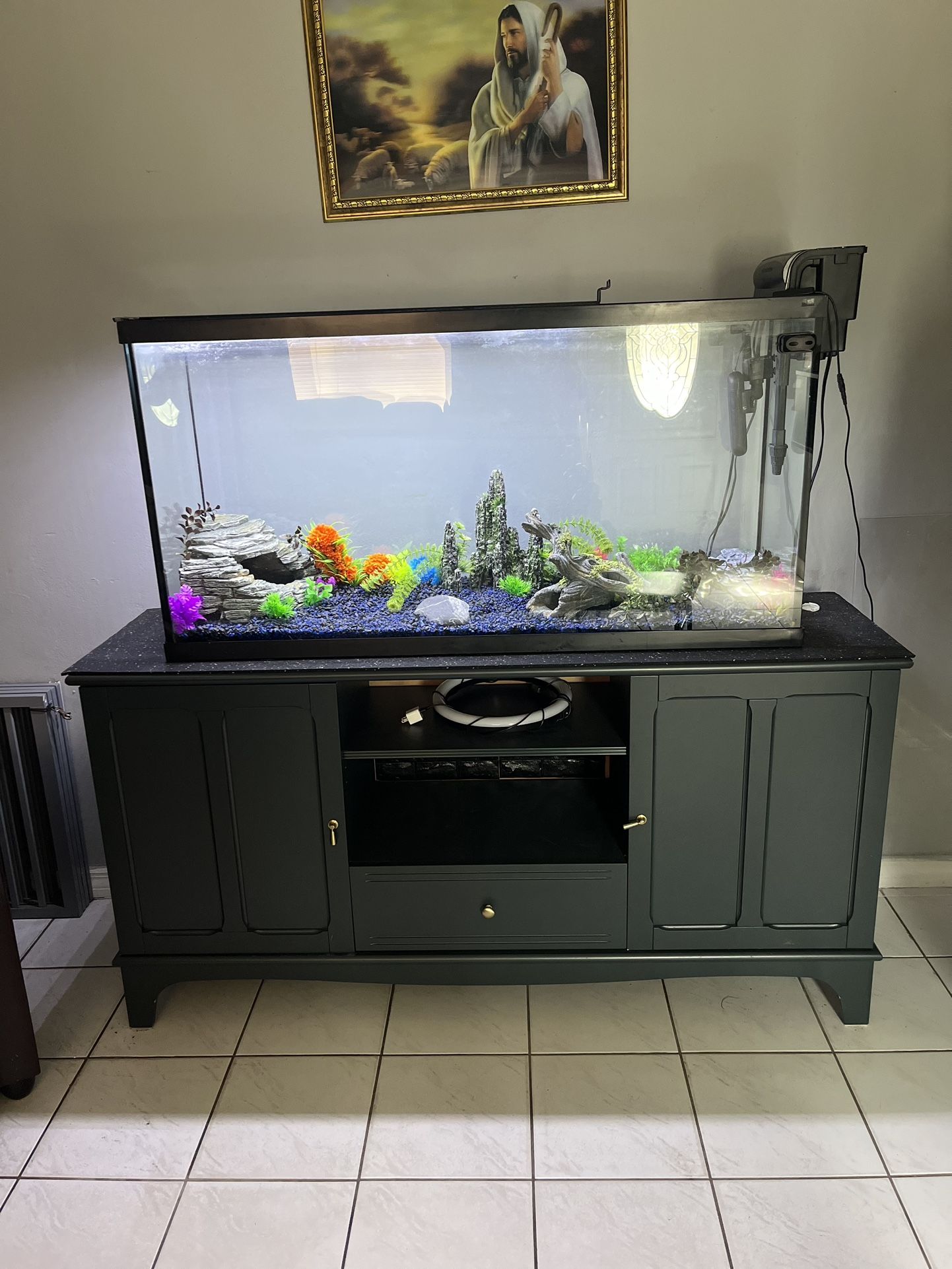 55 Gallon Fish Tank With Stand 