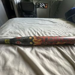 Softball Bat 