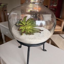 Terrarium - Pottery Barn