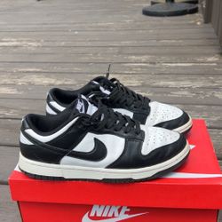 Size 8 dunks 