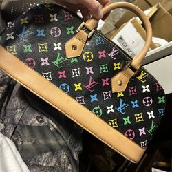 Louis Vuitton purse