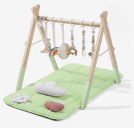 Baby Play Gym