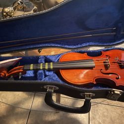 Violín 🎻