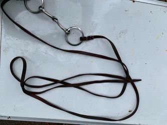 horse bit attached to a set of leather reins,
