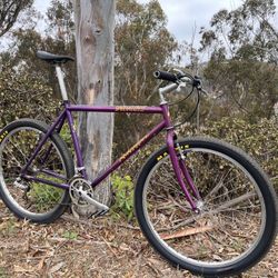 Specialized Rockhopper Expert - 90s Restomod