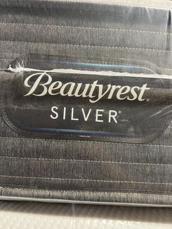Beauty Rest Silver Queen