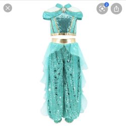 Disney jasmine costume (shoes included)