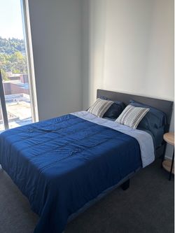 Queen bed + mattress