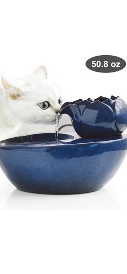 Pets water dispenser
