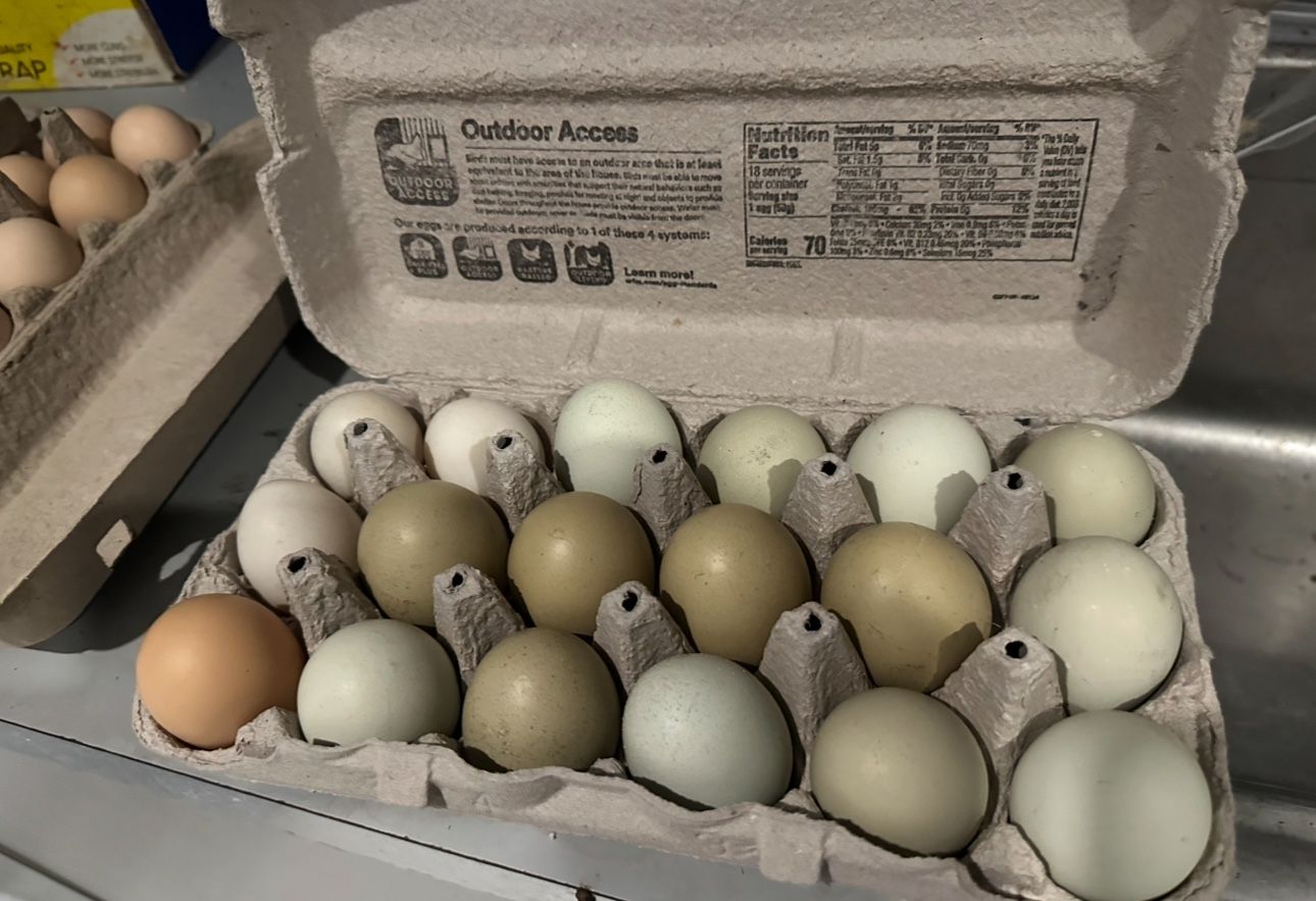 Farm Product