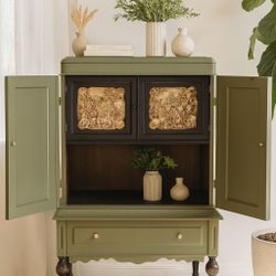 Designer Vintage Cabinet – Olive Green, LED Lighting, Brass Hardware
