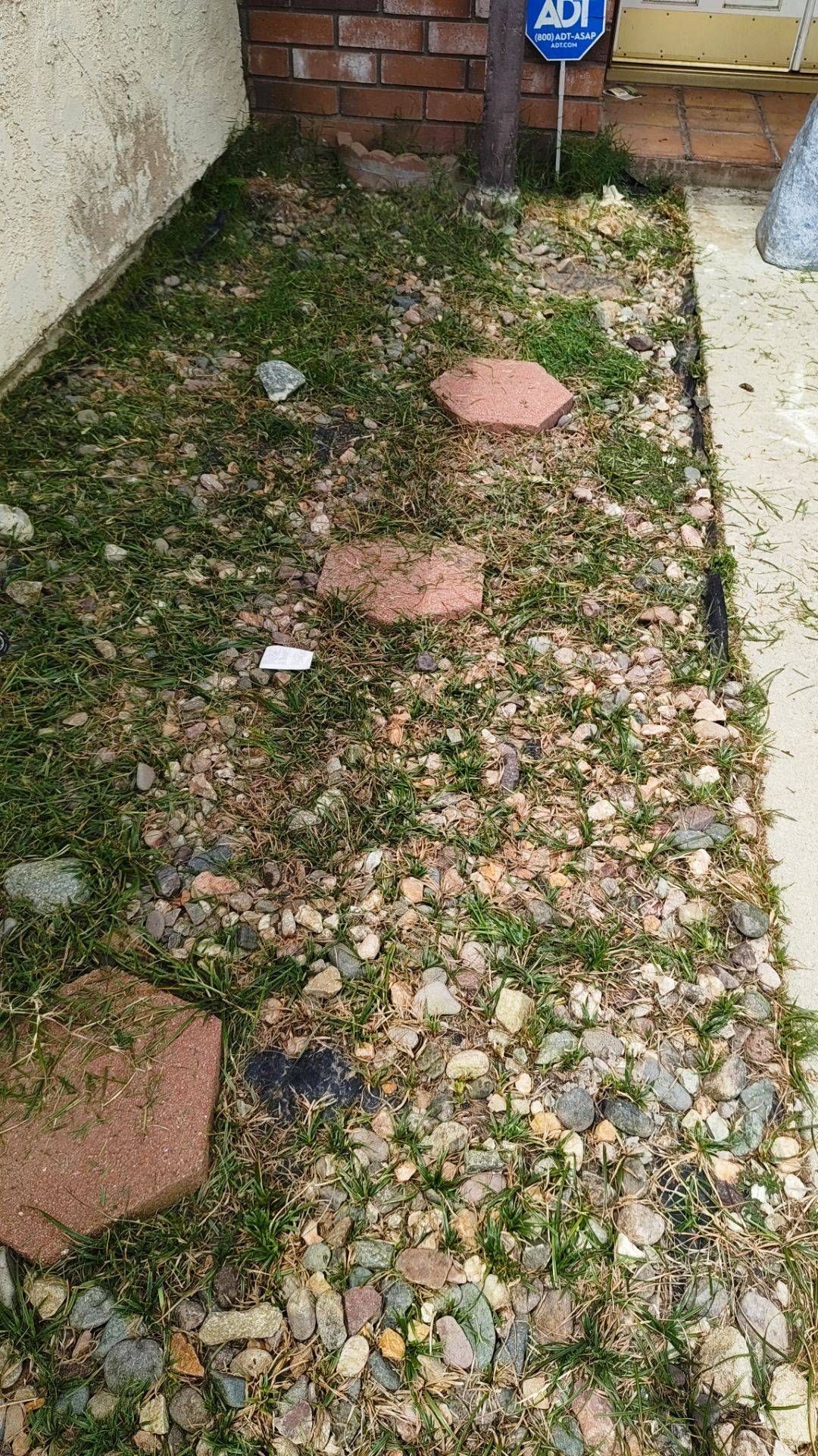Free rocks