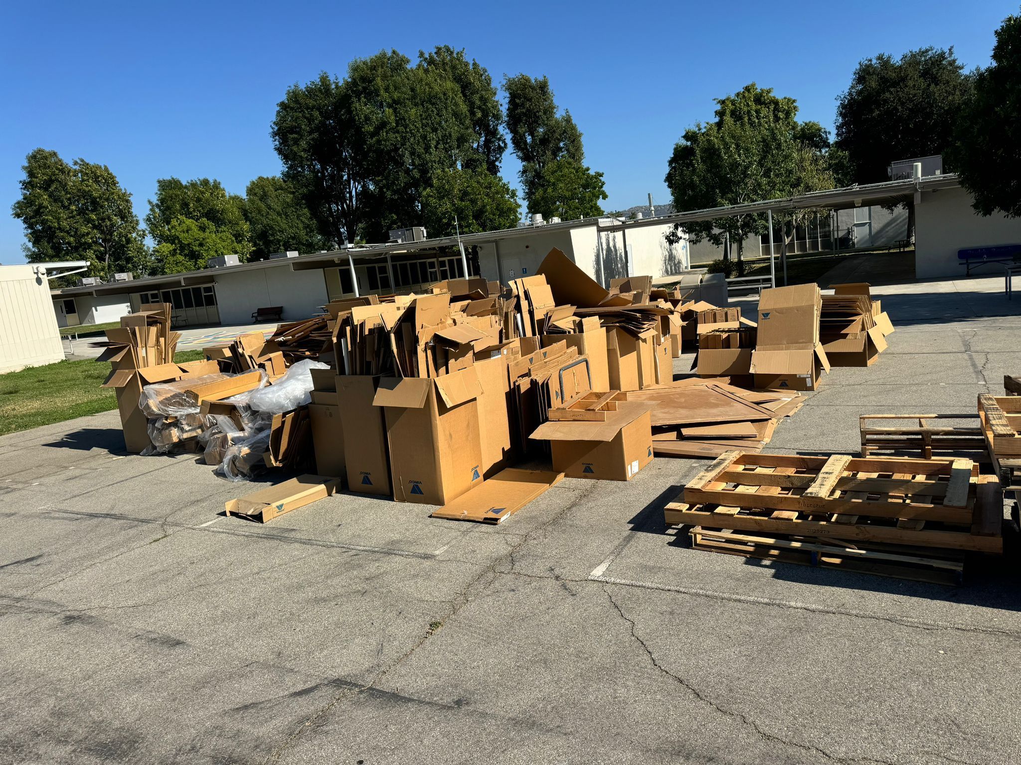 Free Cardboard
