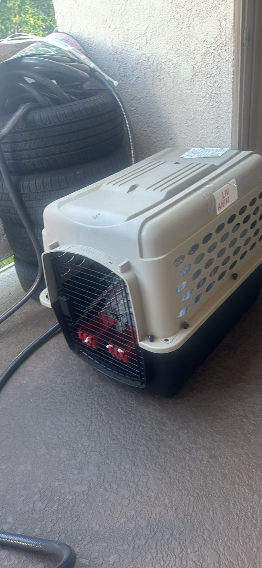 Dog Kennel