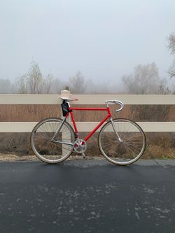 Specialized Langster