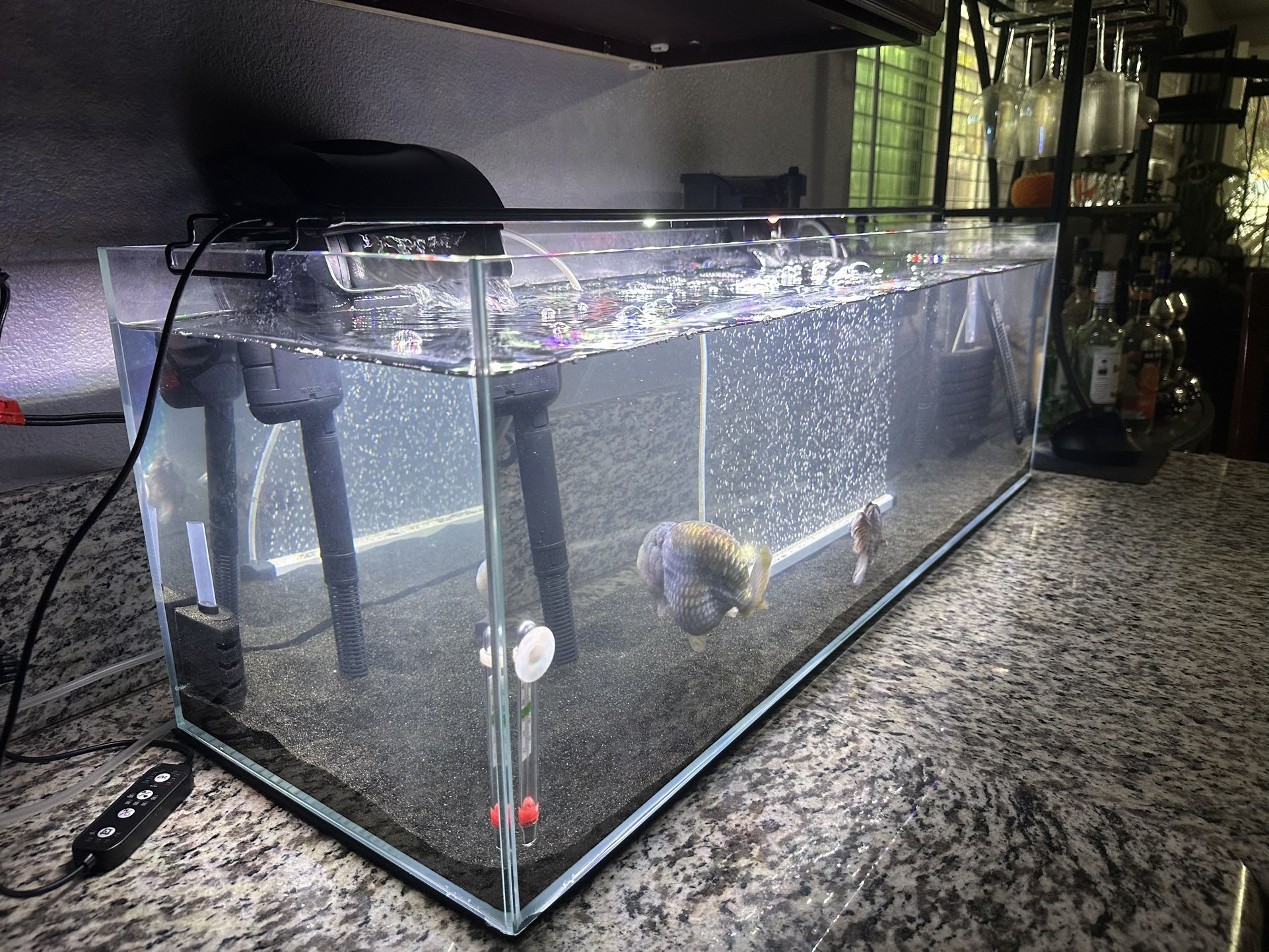 Lifeguard Aquatics 22 Gallon Long -Low Iron Ultra Clear Bookshelf Aquarium