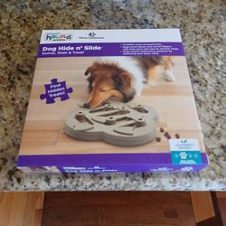Dog hide and slide