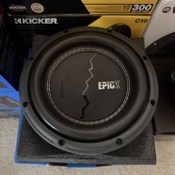 8” Subwoofer 
