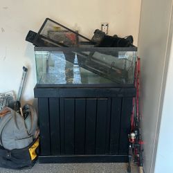 20 Gallon Tank Set Up