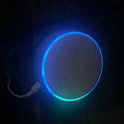 Alexa For Sale 