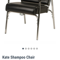 Shampoo Chair