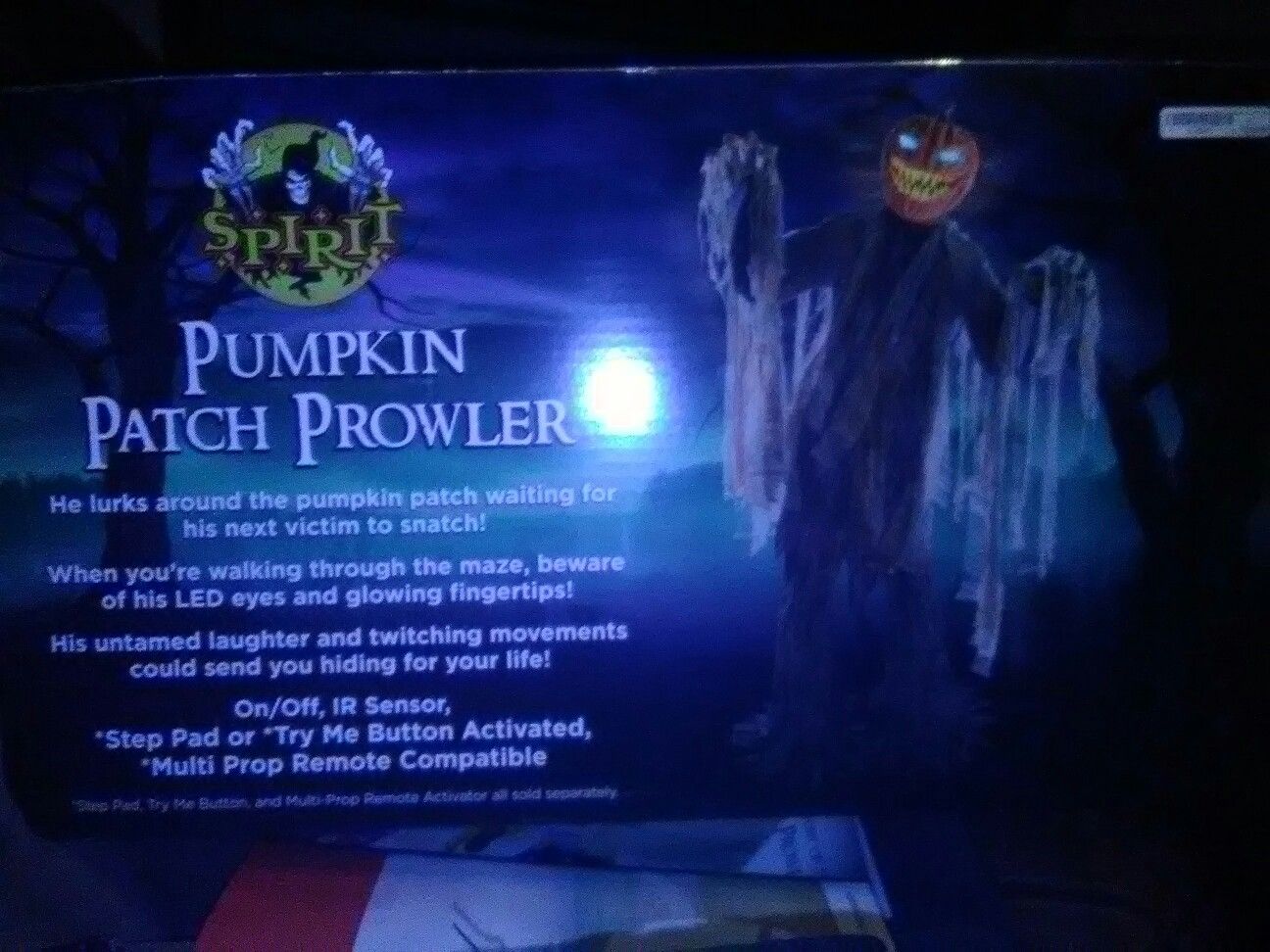 Pumpkin Patch Prowler