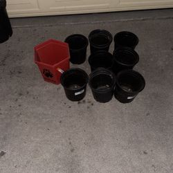 Flower Pots 