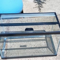 Fish Tank (10 Gallon) 