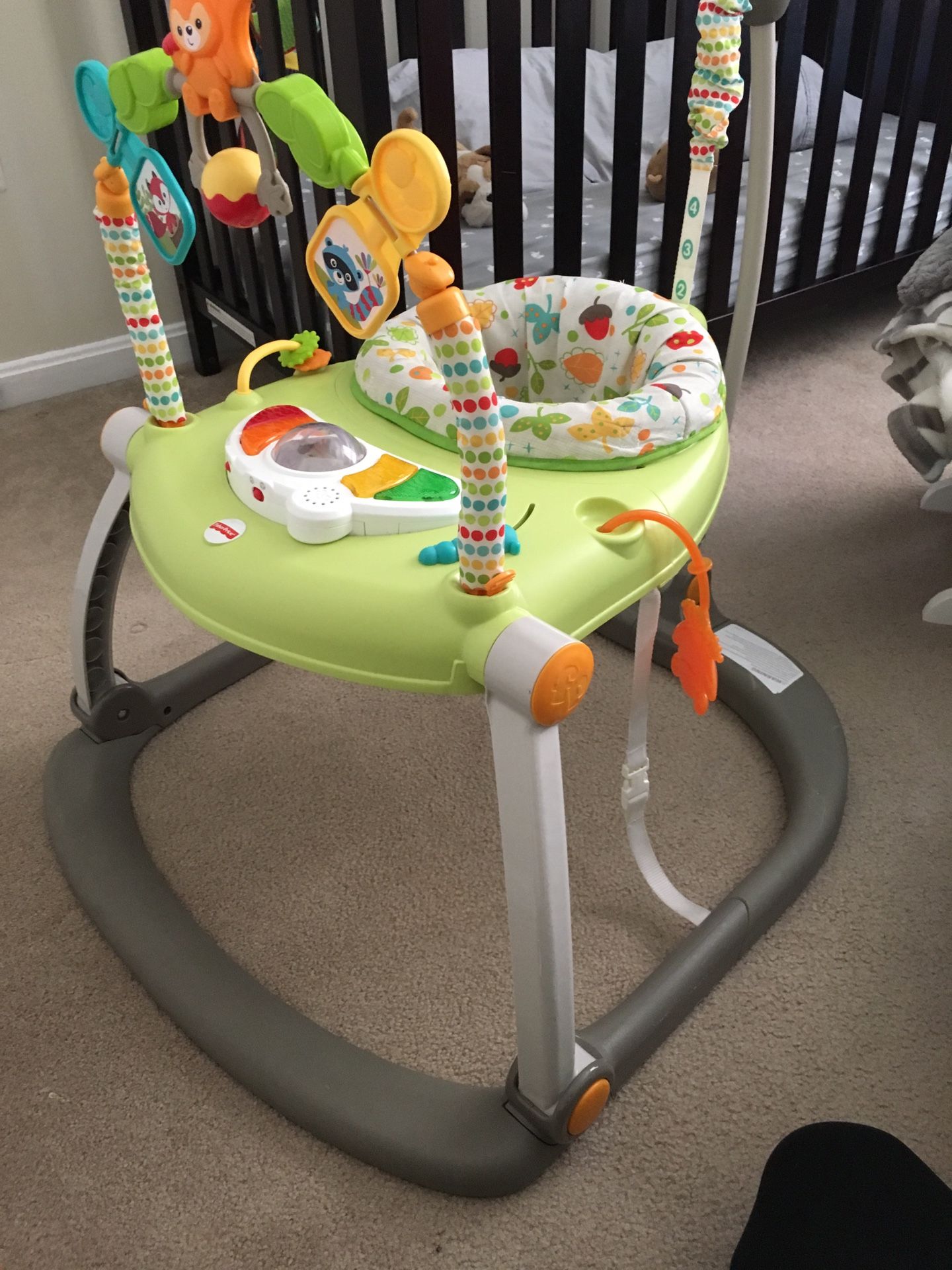 Fisher Price Bouncer