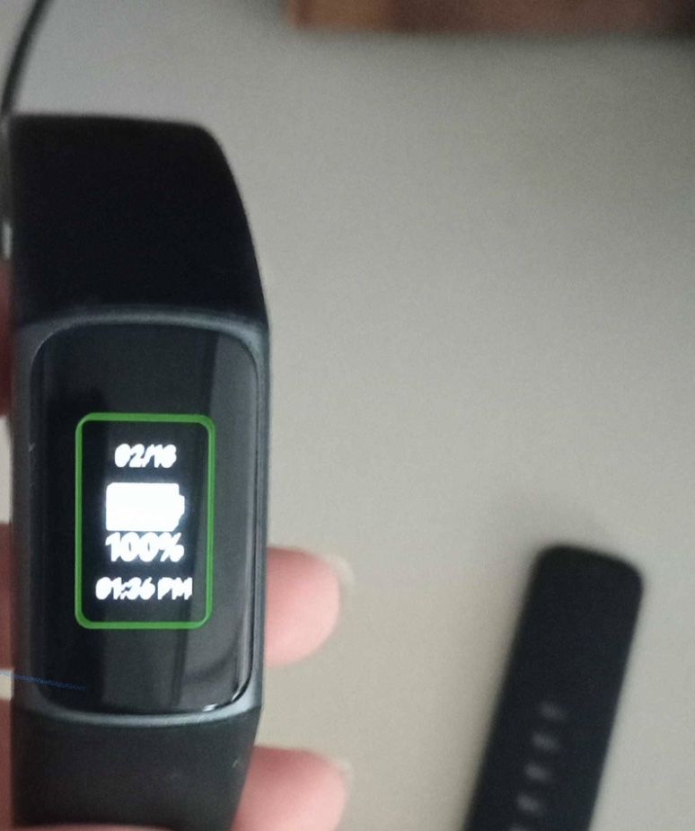 Fitbit Only Works when Plugged in As Is