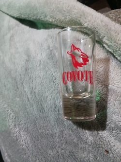 Coyote shot glass