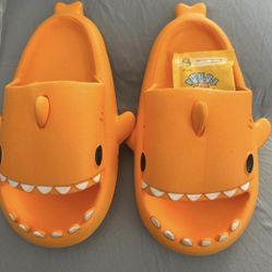 Shark slippers