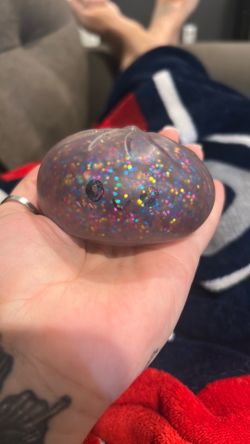 Dumpling squishy’s bundle