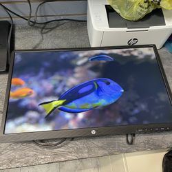 Hp 24” Computer Monitor HDMI Model HP244h (no Stand)
