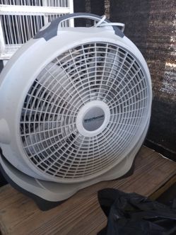 Fan