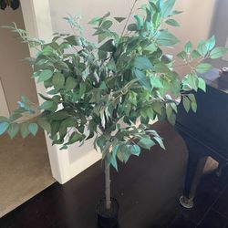 5ft Mini Ficus Indoor Artificial 