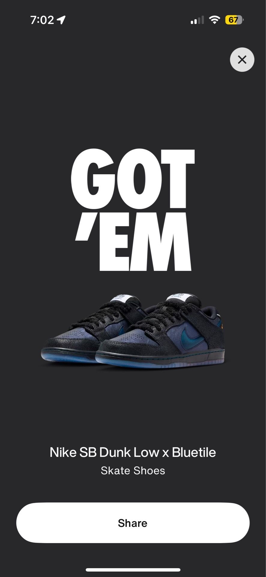 Nike SB dunk low x Bluetile size 11.5