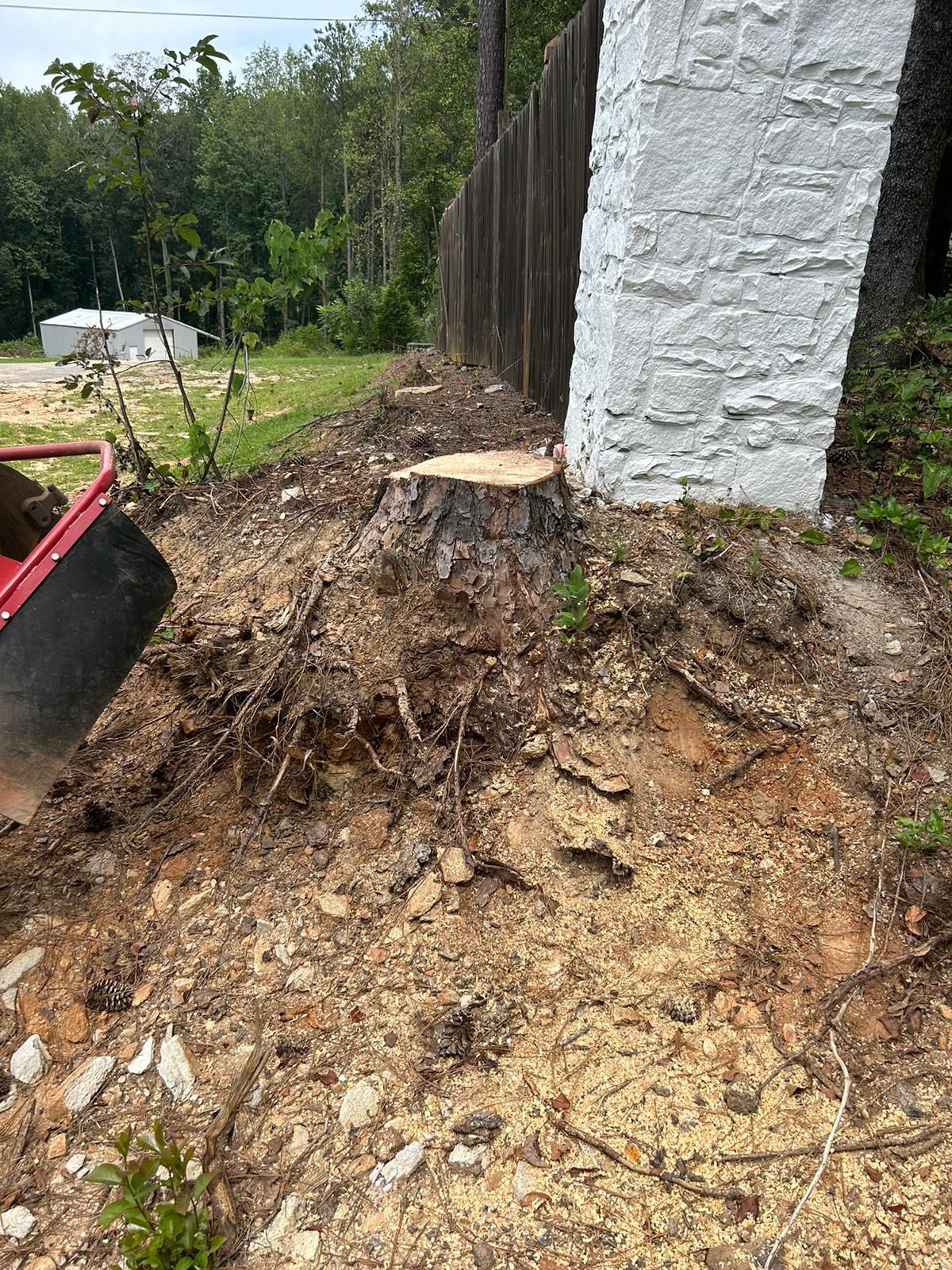 Stump Grinding