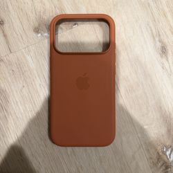 Terra Cotta iPhone 17 Pro Silicone Case 