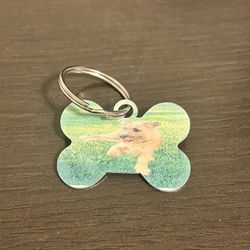 Pets Dog Tags Custom 