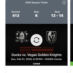 Anaheim Ducks Vs Las Vegas knights 