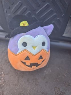 Squishmallow- Holly the Owl "In a Pumpkin"