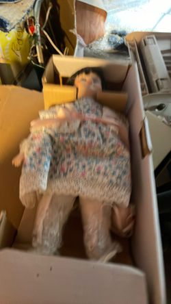 Doll