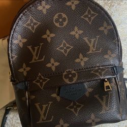Louis Vuitton Palm Springs Mini 