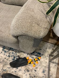 Couches for free
