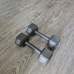 15 Lb Dumbbells