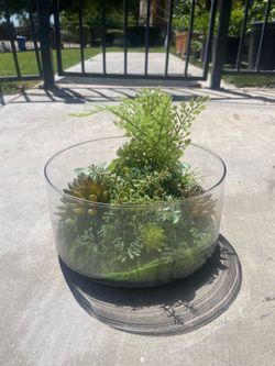 Artificial Decorative Plant 🪴