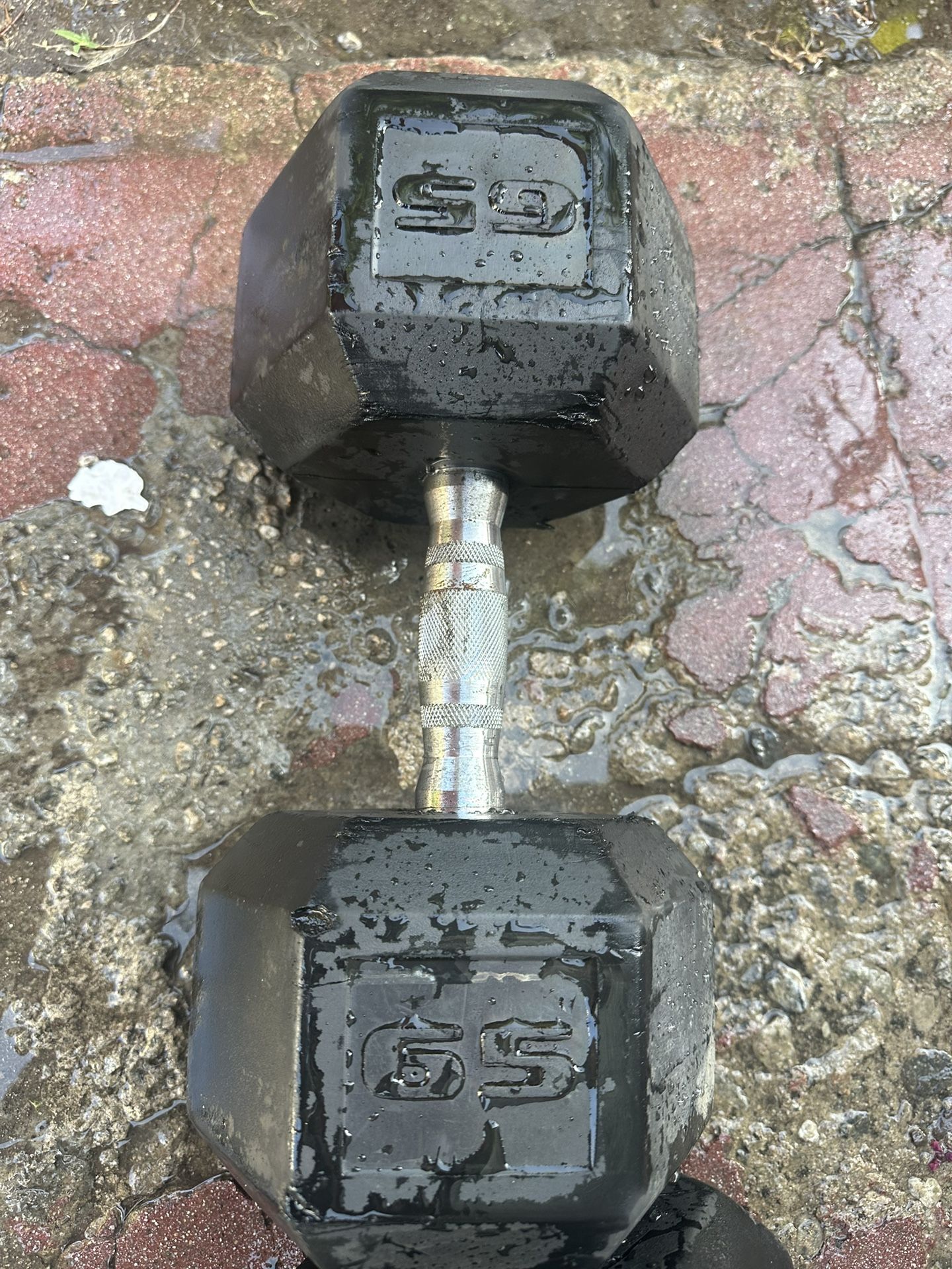 65 Lbs Dumbbell