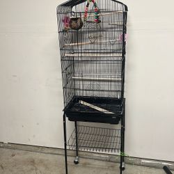 Bird Cage 
